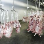 Frozen Lamb Meat for Sale