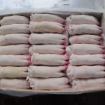 Frozen Pork for Sale